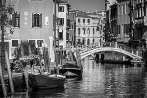 In A Nutshell, Venice