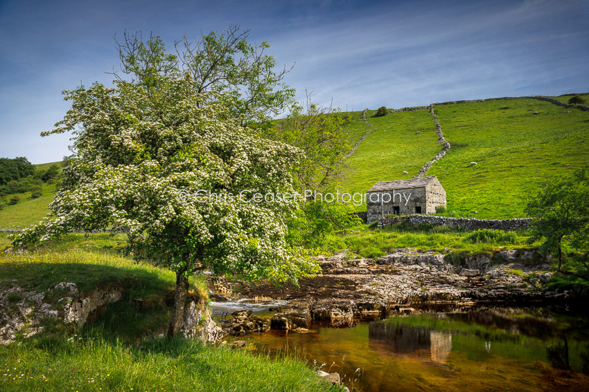 Gentle Flow, Langstrothdale